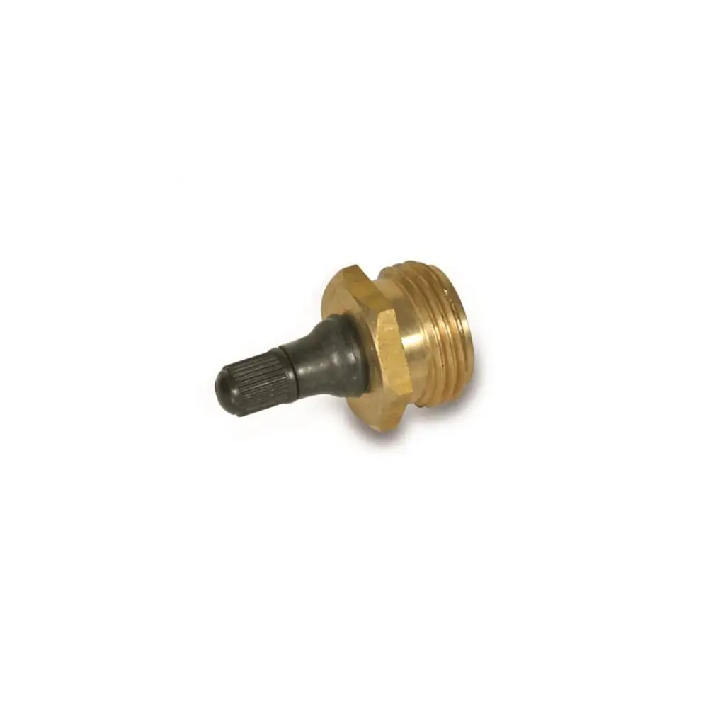 Brass Schrader Water System Blow Out Plug - CAM36153